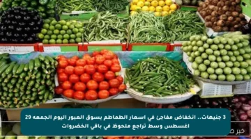 3 جنيهات.. انخفاض مفاجئ في أسعار الطماطم بسوق العبور اليوم الجمعة 29 أغسطس وسط تراجع ملحوظ في باقي الخضروات